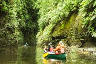 Canoeing on the Whanganui River