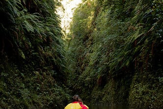 Great Walks Whanganui River Canoeing
