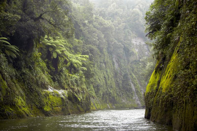 Whanganui River New Zealand