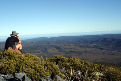 Great Walks Heaphy Track Guided Tour