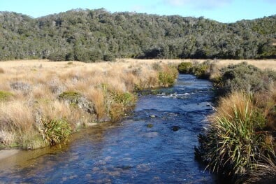 Heaphy Track May 2011 5