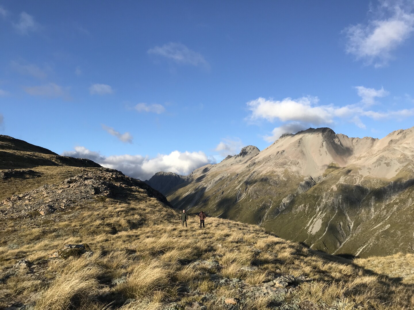 High above Edwards hut near Williams Saddle