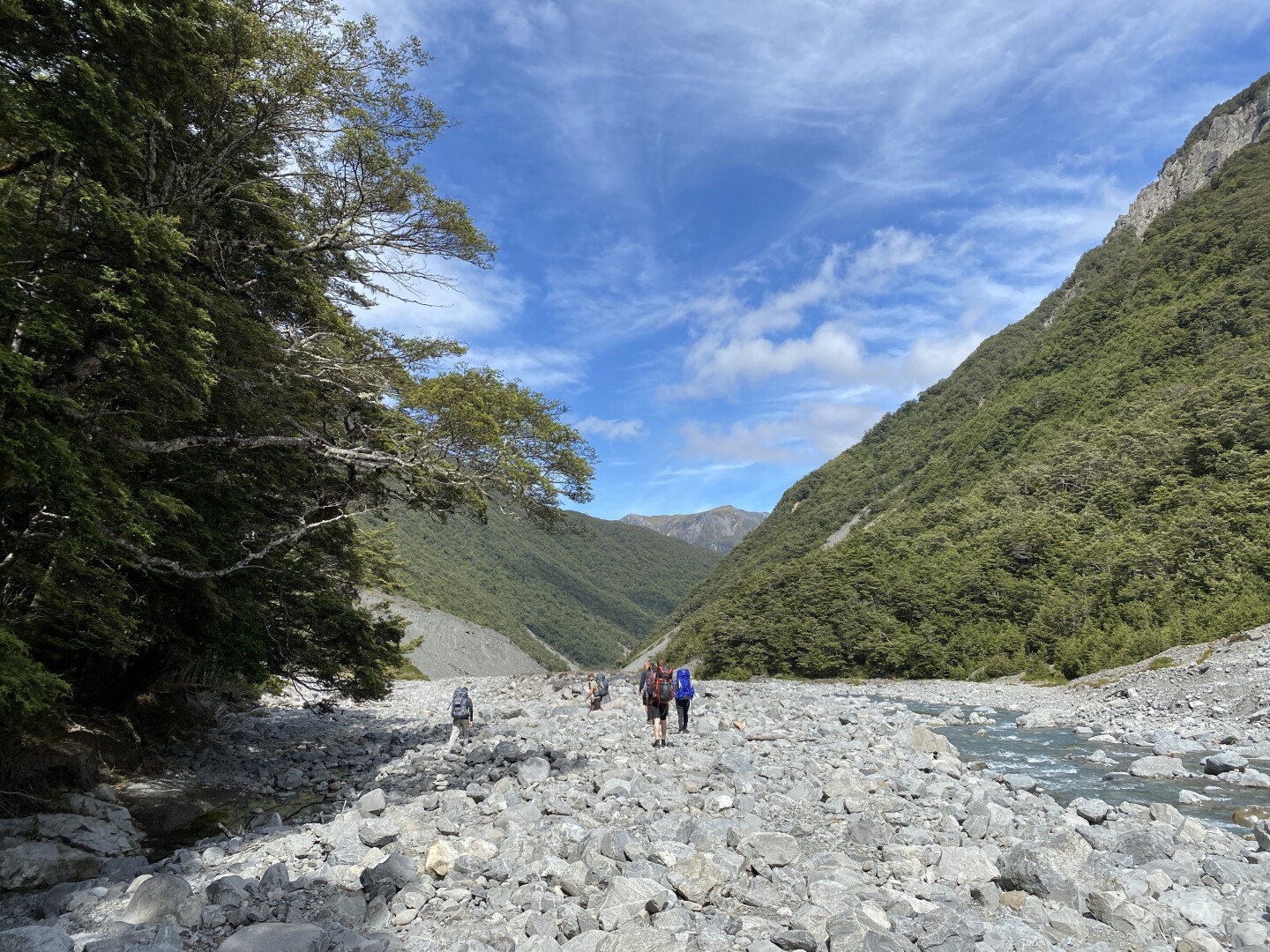 Leaving the forest behind and hiking alongside the Edwards River