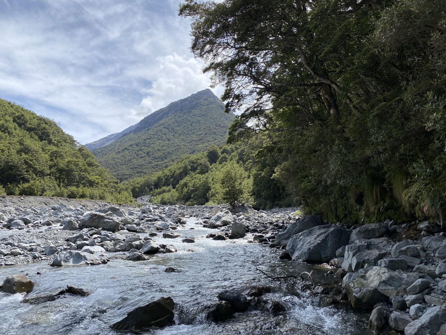 The Edwards valley tumbling downstream over greywacke and schist boulders.