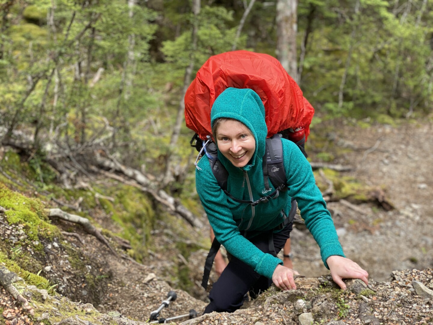 Strategically place tree roots make the climbs easier!