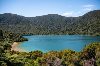 Blue waters on the Queen Charlotte Track