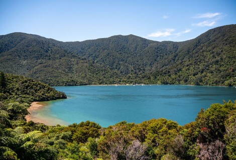 Blue waters on the Queen Charlotte Track