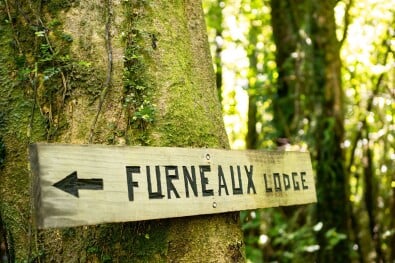 Funky trail signs