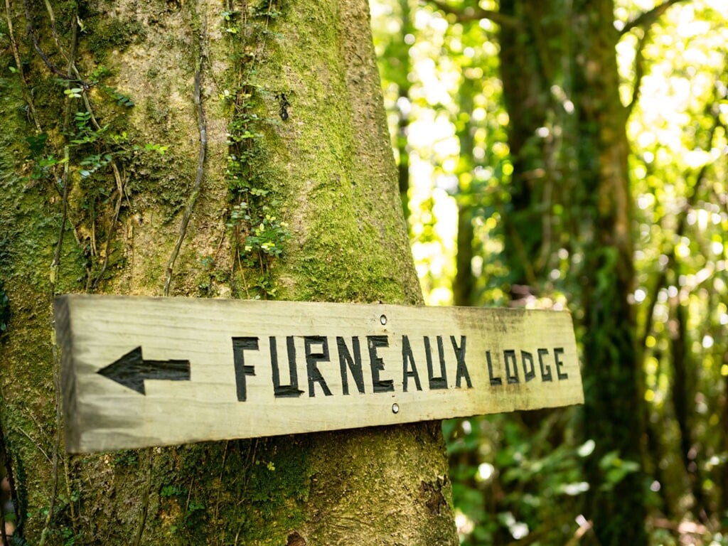 Never loose your way with the funky trail signs