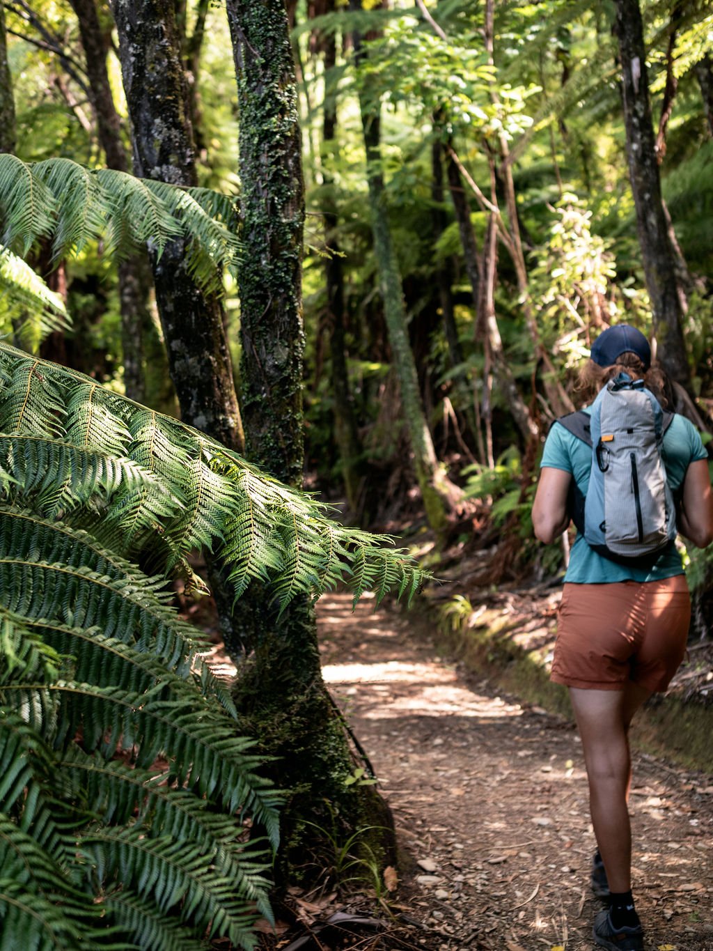Hike the lush forests on the Queen Charlotte Sound