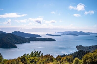 Views on Queen Charlotte Track