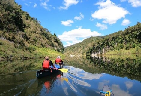 Whanganui River Canoe Paddle