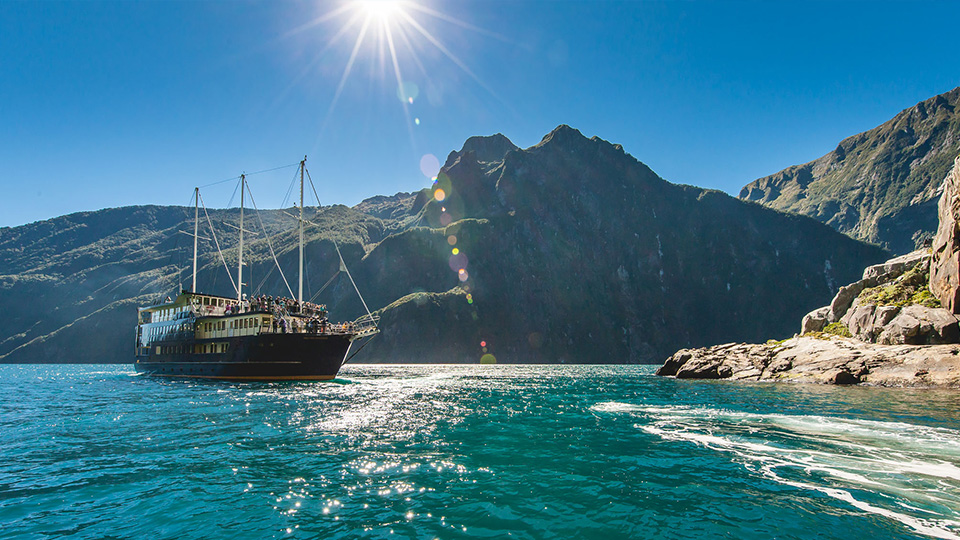 Experience a beautiful morning cruise on Milford Sound.