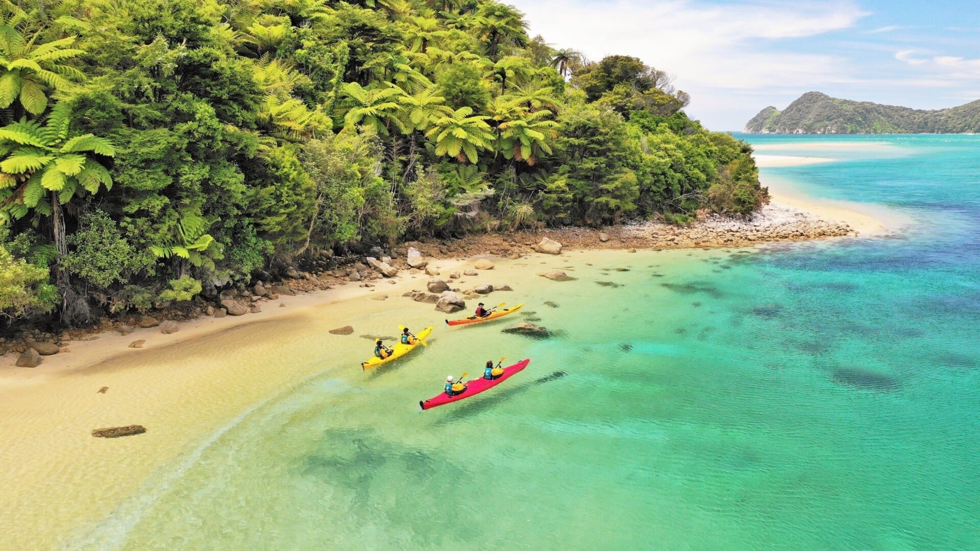 Tree ferns tumble down to the shore, with clear turquoise water just beyond.