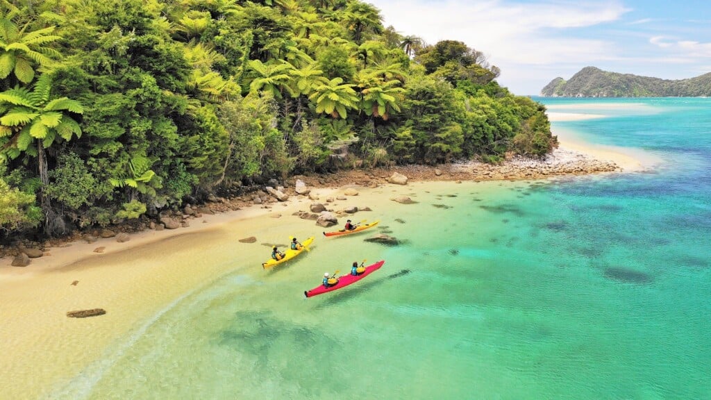 Tree ferns tumble down to the shore, with clear turquoise water just beyond.