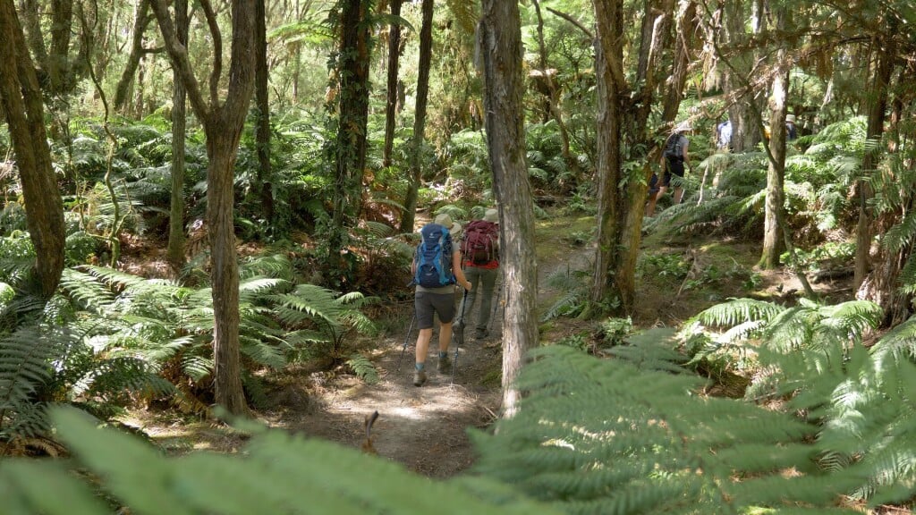 Hiking trails are generally in pretty good shape on this walking tour.