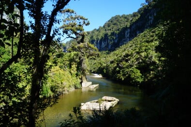 Pororari River Punakaiki walking trail