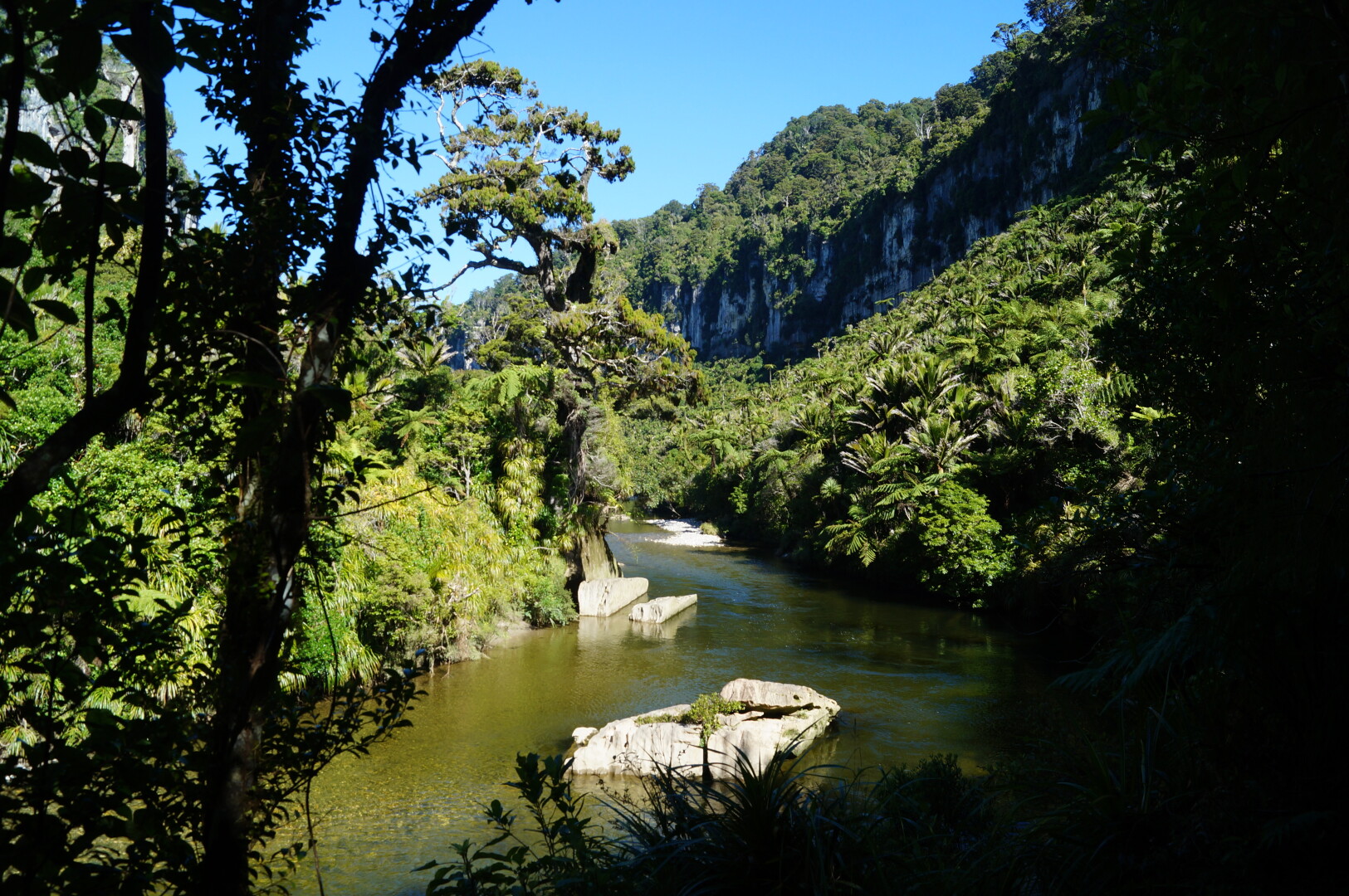 Hiking on the South Island's West Coast. Lush rainforest, Limestone/Karst landscape, right next to the ocean and the walks at Pancake Rock (Punakaiki).