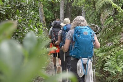 Walking-the-Lake-Tarawera-trail in native forest