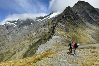 Rabbit pass tops