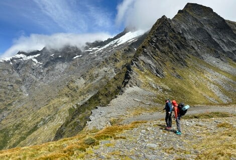 Rabbit pass tops