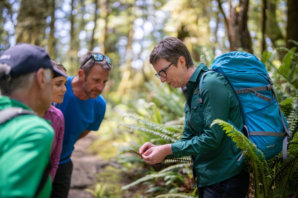 Discover the native flora with your local guide.