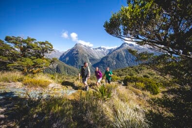 Day 3 Routeburn Track discover the mountain scenery with a guide