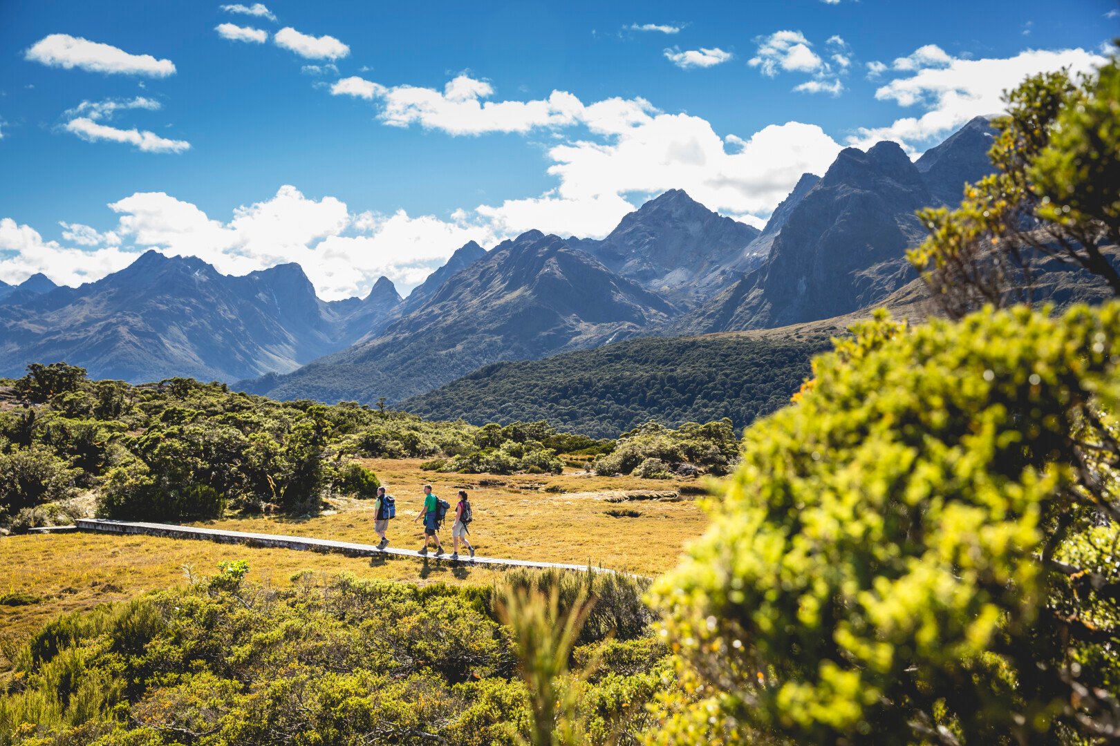  Routeburn Track on top of the world!