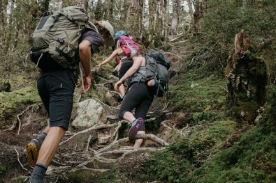 Brewster Glacier Climb