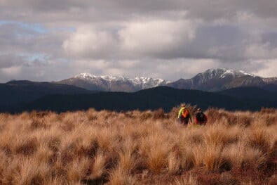 Great Walks Bushland Tongariro National Park