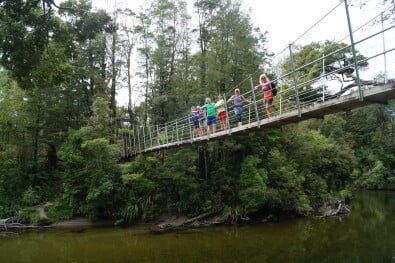 Hiking NZ Swing Bridge