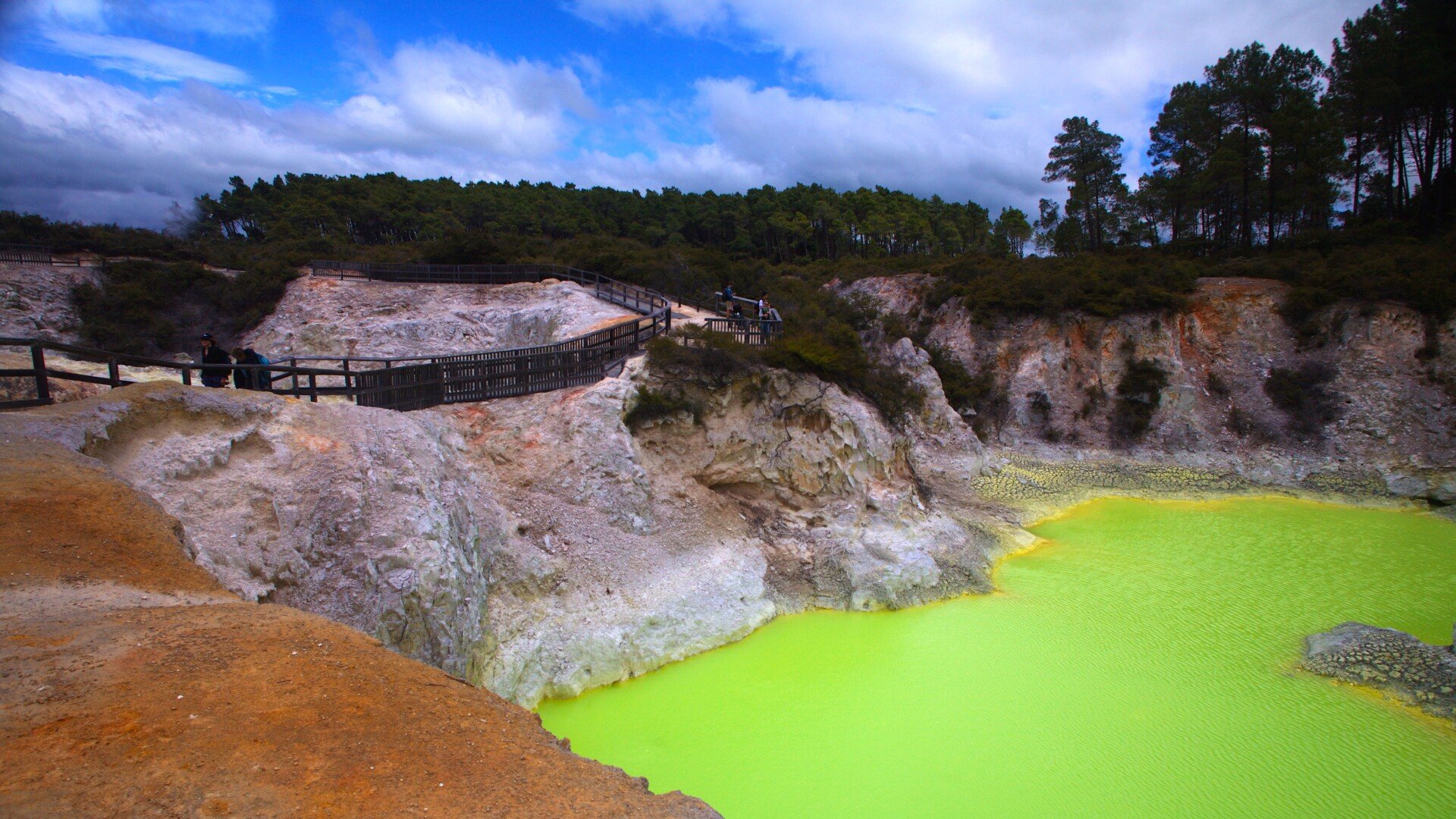 The neon green Devil's Bath, Wai-O-Tapu Thermal Wonderland, Rotorua. 