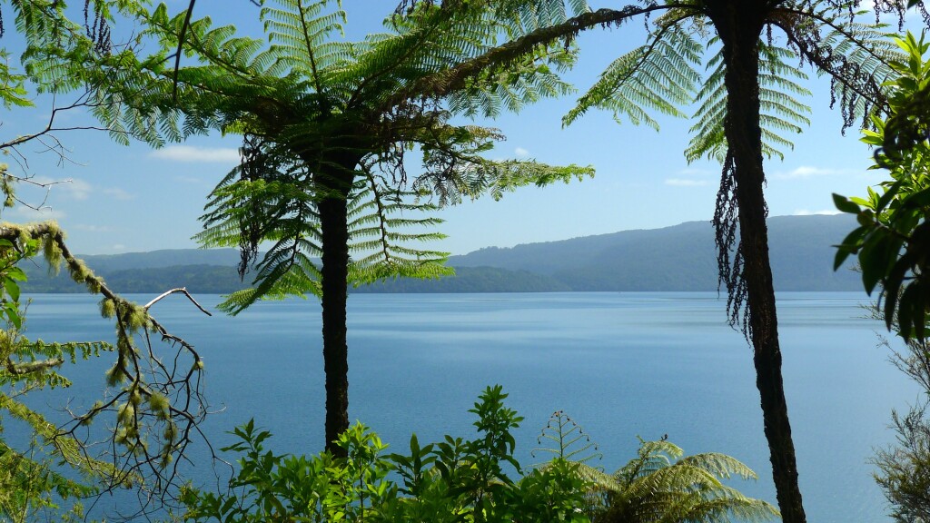  Lake Tarawera from the Trail