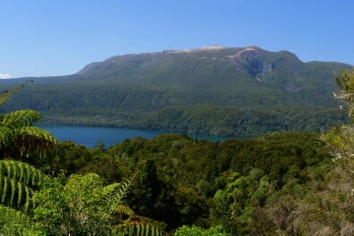 Lake Tarawera rainfores