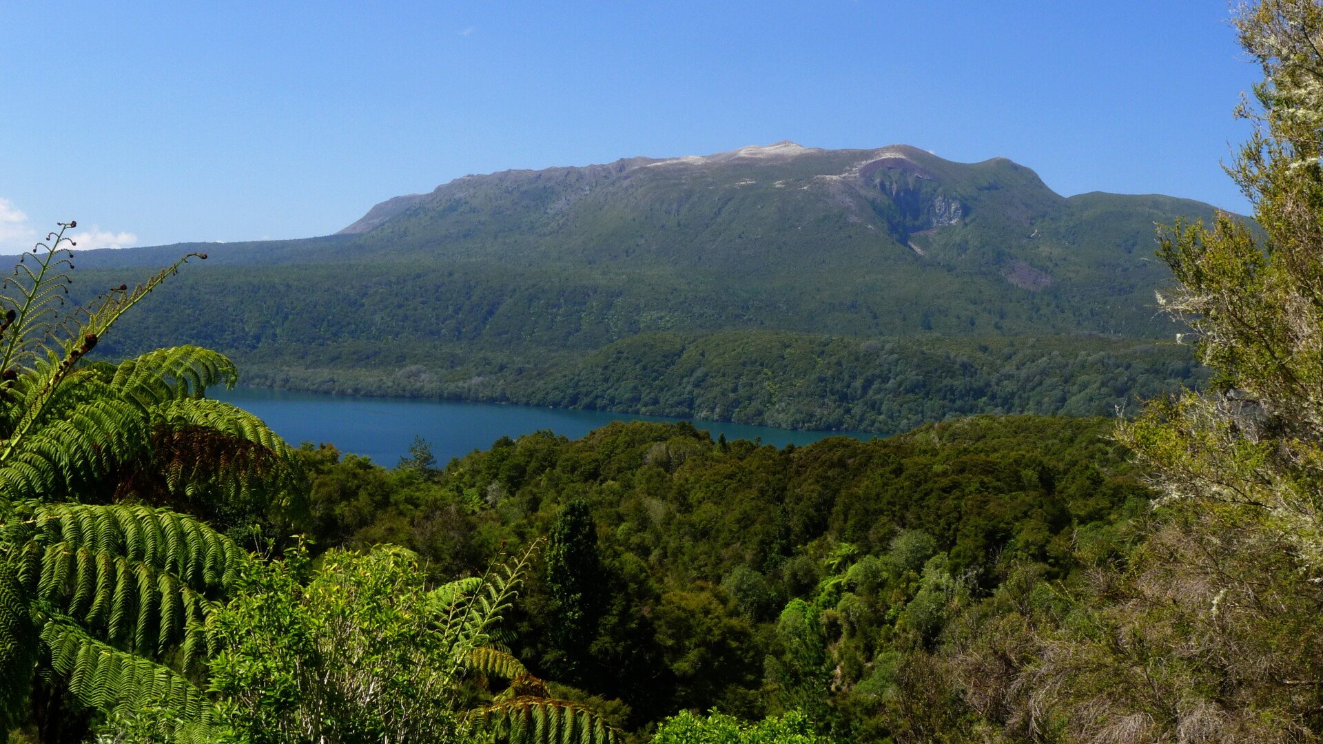 Mt Tarawera last erupted in 1886, the lake is warmed still from the thermal emissions