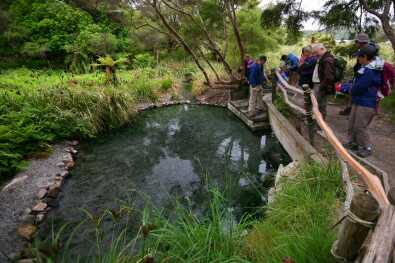 Natural Geothermal Hot Pools Rotorua
