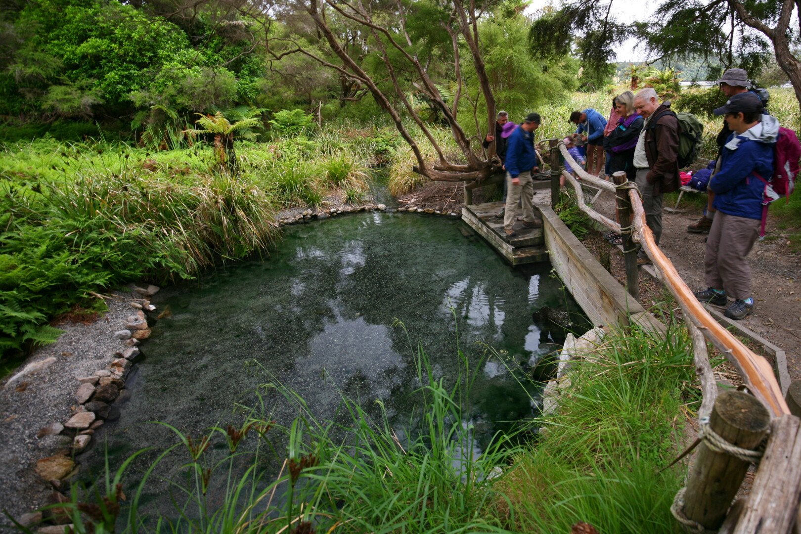  A mid hike hot pool along the Tarawera trek