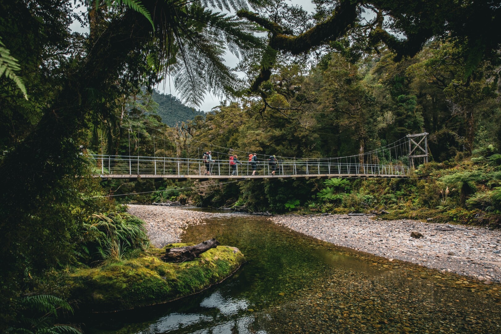 Hikers on Paparoa Track Bridge Crossing.
