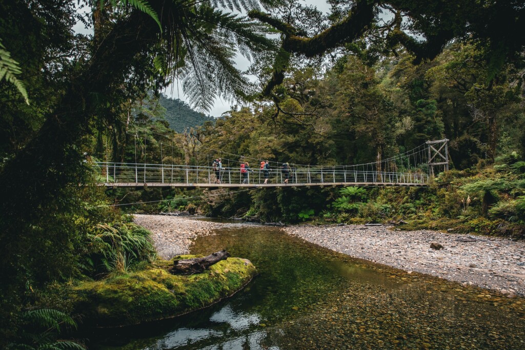 Hikers on Paparoa Track Bridge Crossing.