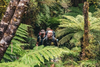 paparoa track guided walk