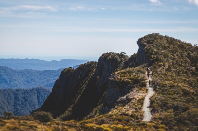 paparoa track ridge