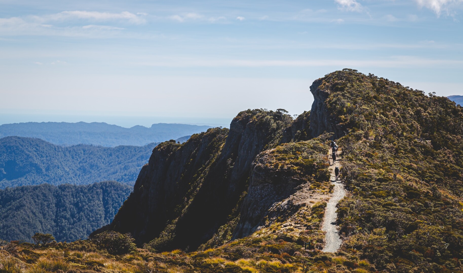 Striking landscape along the Paparoa track ridge.