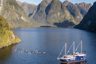 Fiordland Navigator Doubtful Sound