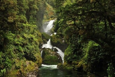 Fiordland waterfall