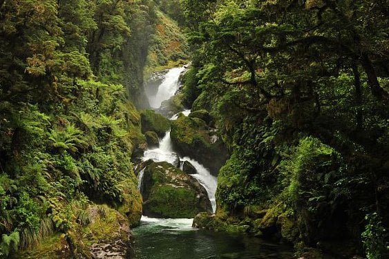 Tranquil waterfall in Fiordland