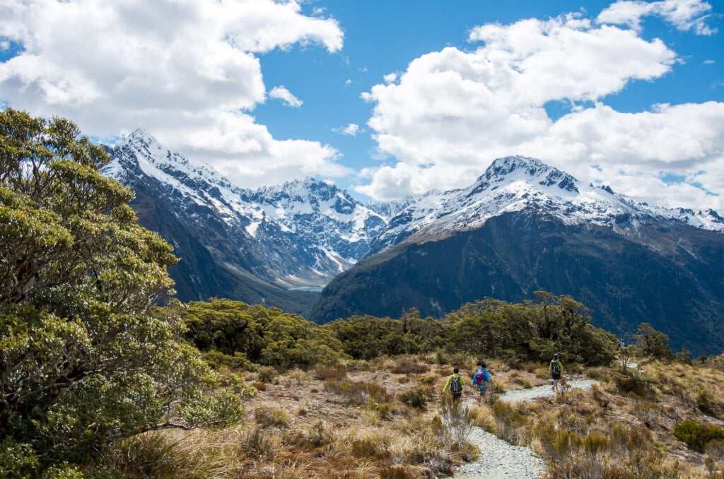 Expect panoramic views of Fiordland National Park from Key Summit.