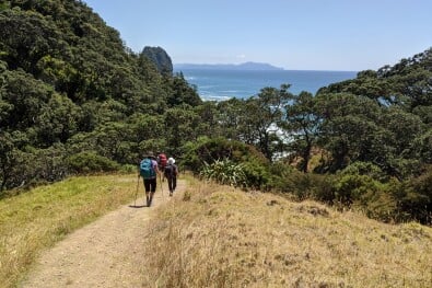 Coromandel Hiking Tour