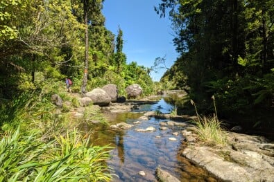Coromandel Rivers