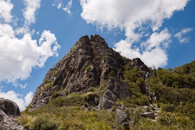 Coromandel Walking 