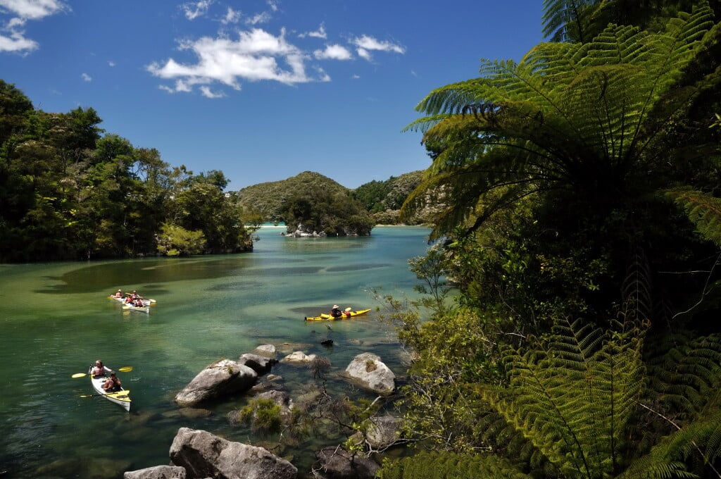 Paddle the beautiful waters of Abel Tasman National Park.